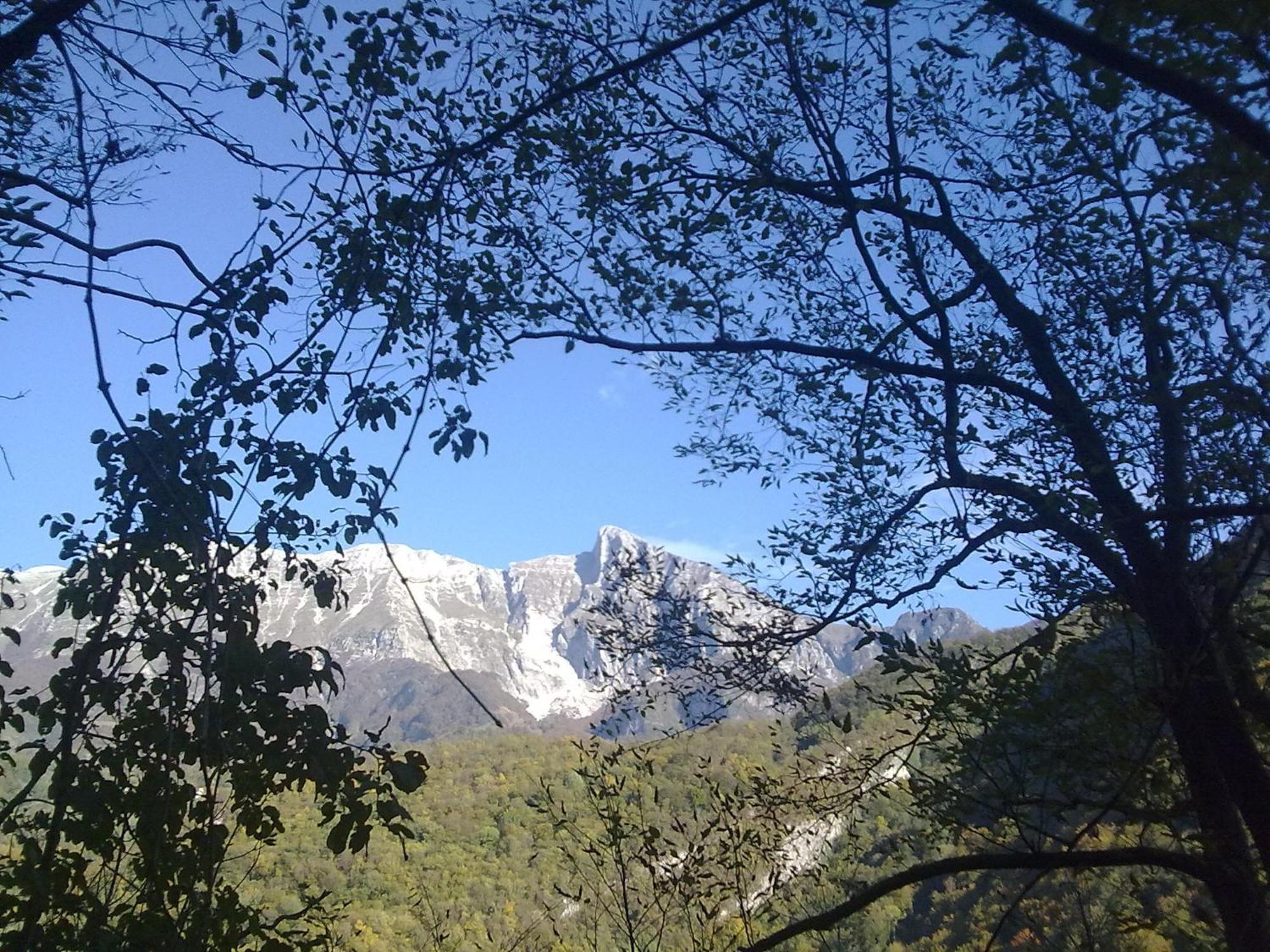 Studio Brnat Διαμέρισμα Kobarid Εξωτερικό φωτογραφία